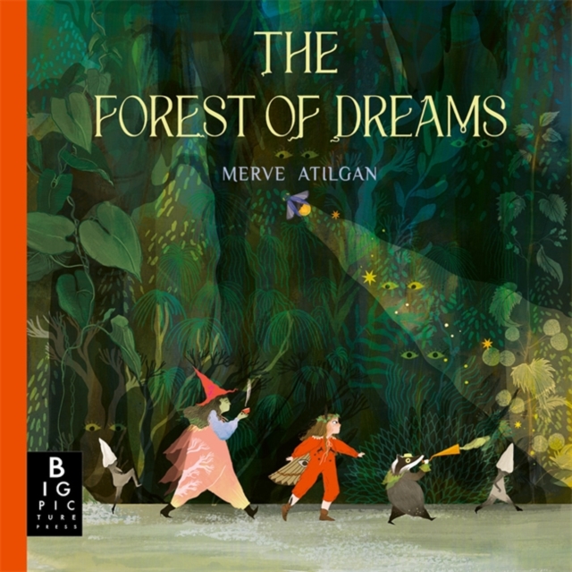 The Forest of Dreams : A beautifully illustrated folktale adventure